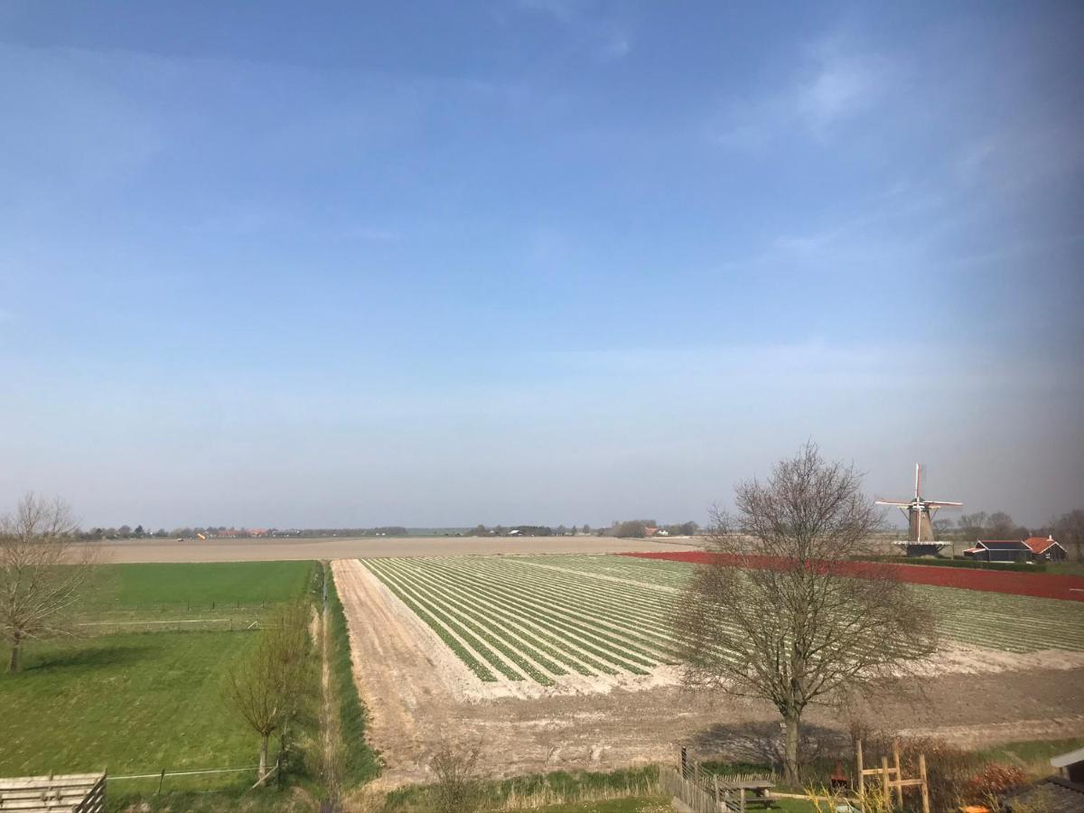 In De Gele Hoed Mooie Appartementen Met Fantastisch Uitzicht Zonnemaire ภายนอก รูปภาพ